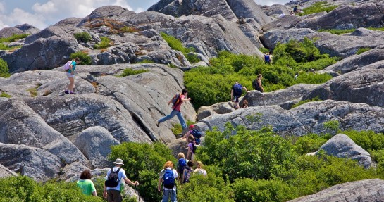To the top of Monadnock