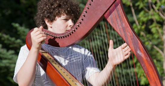 Celtic harpist Celtic harpist